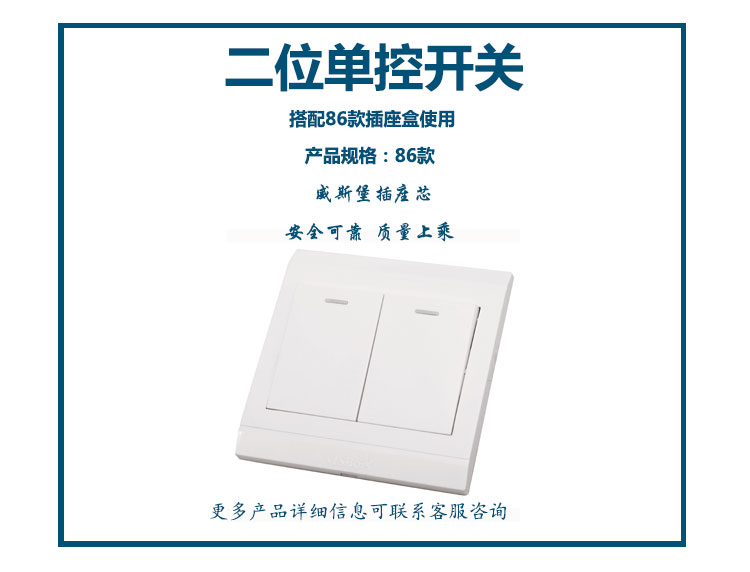 86款二位單控開(kāi)關(guān)